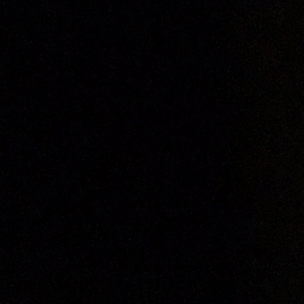 Meet your Posher, Raegan